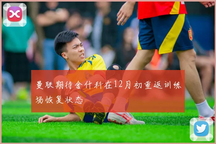 曼联期待舍什科在12月初重返训练场恢复状态